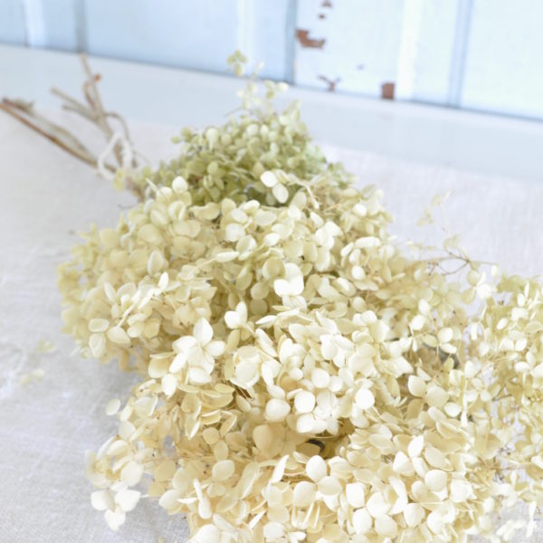 Becky's Farmhouse Hydrangea Bundle 1