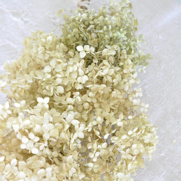 Becky's Farmhouse Hydrangea Bundle 2